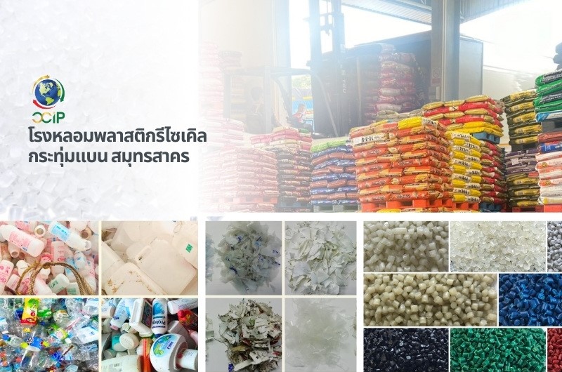 พลาสติกรีไซเคิล กระทุ่มแบน